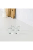 IKEA 4'lü Set Mini Shot Bardağı Hacim 25 ml İkea 4 Adet Likör Şat Bardağı Cam Bardak Yükseklik 7 cm - 4