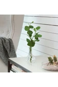IKEA 3 Adet Cam Vazo Yükseklik 17 Cm İkea 3'lü Set Dekoratif Çiçek Vazosu Şeffaf Bitki Vazosu - 3