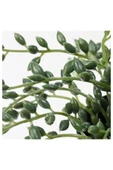 IKEA Yapay Yeşil Bitki Çiçek 9 cm - 2