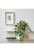 IKEA Yapay Bitki Çiçek Yeşil Sarkan Telgraf Çiçeği 60 Cm - 2