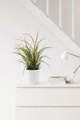 IKEA FEJKA Yapay Saksı Bitkisi - 2