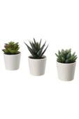 IKEA Saksılı Yapay Bitki Kaktüs - 1