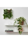 IKEA Yapay Bitki Çiçek Yeşil Sarkan Telgraf Çiçeği 60 Cm - 4