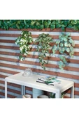 IKEA Yapay Bitki Çiçek Sarkan 3 Parça 52 Cm Yeşil - 3