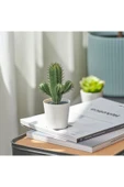 IKEA Premium Ürün Kaliteli Üretim Dayanıklı Kullanışlı Şık İç Dış Mekan 6 Cm Yapay Bitki Kaktüs FEJKA - 4
