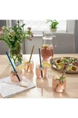 IKEA Paslanmaz Çelik pipet, çeşitli renkler, 4 parça - 6