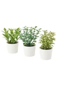 IKEA Saksılı Yapay Bitki 3 Lü , Yeşil 5 Cm Mini Çiçekler Yeşil Renk Dekorasyon - 1