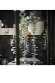 IKEA Premium Ürün Dayanıklı Kaliteli Üretim Modern Şık Tasarım Okaliptüs İç Dış Mekan Yapay Bitki - 3