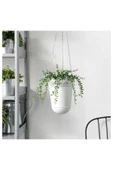 IKEA Yapay Yeşil Bitki Çiçek 9 cm - 3