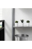 IKEA Fejka 2 Li Kaktüs Çiçek - 2