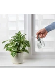 IKEA Sesamfrön Sprey Şişesi, Cam, 25 Cl - 4