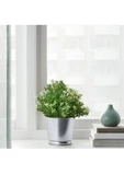 IKEA Premium Ürün Dayanıklı Kaliteli Üretim Modern Şık Tasarım Okaliptüs İç Dış Mekan Yapay Bitki - 4