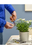 IKEA Bitki Budama Makası Uzunluk 16 Cm İkea Çiçek Budama Makası Paslanmaz Çelik Turuncu - 1