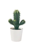 IKEA FEJKA Kaktüs 14 cm Mini Saksılı Yapay Kaktüs Bitki Çiçek - 2