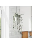 IKEA Premium Ürün Dayanıklı Kaliteli Üretim Modern Şık Tasarım Okaliptüs İç Dış Mekan Yapay Bitki - 5