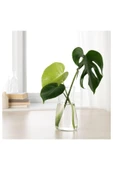 IKEA Karaff Saydam Cam 1 Lt. 00342975 - 3