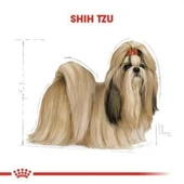 Royal Canin Adult Shih Tzu Yetişkin Köpek Maması 1,5Kg - 4