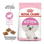 Royal Canin Kitten 36 Yavru Kedi Maması 10 Kg - 2