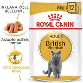 Royal Canin British Shorthair Adult Yetişkin Yaş Kedi Maması 85gr 12 Adet thumbnail 3