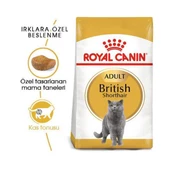 Royal Canin British Shorthair Yetişkin Kedi Maması 4 Kg - 2