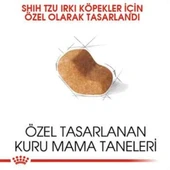 Royal Canin Adult Shih Tzu Yetişkin Köpek Maması 1,5Kg - 3