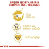 Royal Canin British Shorthair Yetişkin Kedi Maması 4 Kg - 6