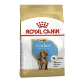 Royal Canin Cocker Junior Yavru Köpek Maması 3 Kg - 1