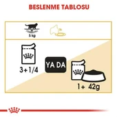 Royal Canin British Shorthair Adult Yetişkin Yaş Kedi Maması 85gr 12 Adet thumbnail 8