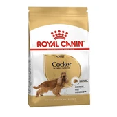 Royal Canin Cocker Yetişkin Köpek Maması 3 Kg - 1