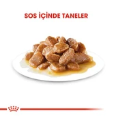 Royal Canin Mini Adult Küçük Irk Yetişkin Köpek Maması 85gr - 4
