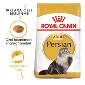 Royal Canin Persian Adult Yetişkin Kedi Maması 4 Kg - 2