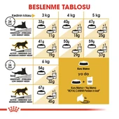 Royal Canin Persian Adult Yetişkin Kedi Maması 4 Kg - 6