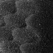 Fluval 105/106 205/206 Biyolojik Sünger - 3