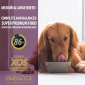 Reflex Plus High Energy Dana Etli Yetişkin Köpek Maması 3Kg - 4