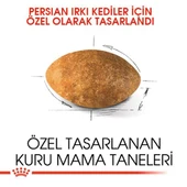 Royal Canin Persian Adult Yetişkin Kedi Maması 4 Kg - 3