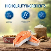 Reflex Plus Orta ve Büyük Irk Somonlu Yetişkin Köpek Maması 3Kg - 3