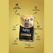 Reflex Plus Hipoalerjenik British Shorthair Yetişkin Kedi Maması 1,5Kg - 2