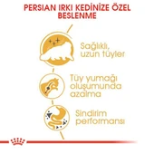 Royal Canin Persian Adult Yetişkin Kedi Maması 4 Kg - 4