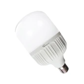 ACK 50W GÜNIŞIĞI TORCH LED AMPUL - 1