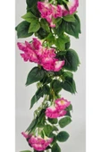 Sarkan begonvil beyazlı pembeli balkon süsü dekor yaz çiçeği 9 dallı thumbnail 3