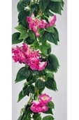 Sarkan begonvil beyazlı pembeli balkon süsü dekor yaz çiçeği 9 dallı thumbnail 4