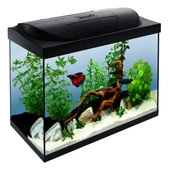 Tetra Starter Line Led Akvaryum 80 Litre - 1