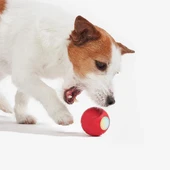 Cheerble Şarjlı Akıllı İnteraktif Köpek Oyun Topu Kırmızı Small 5,5cm - 4