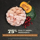 Acana Wild Prairie Tavuklu ve Balıklı Tahılsız Kedi Maması 1,8Kg - 3