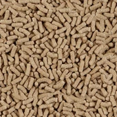 Sera Pond Sticks 1000ml 170gr - 2