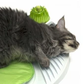 Catit Senses 2.0 Wellness Center - 5