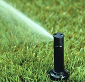 Rainbird 3504 Rotor Sprey 1/2 - 1