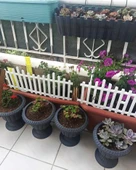 Çarşıbu Plastik Bahçe Peyzaj Çiti Dekoratif Beyaz Çit 59 cm - 1 ADET - 4