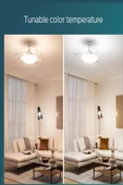 Philips Bliss Fanlı Tavan Lambası 28 35 W - 4