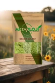 aktarloji 500 Gr Demir Sülfat Gübresi ( Karaboya ) thumbnail 2